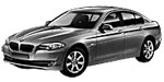 BMW F10 P20DD Fault Code